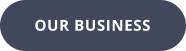 OUR BUSINESS