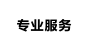 专业服务