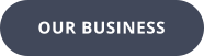 OUR BUSINESS