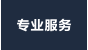 专业服务